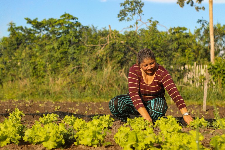 MDS destina cerca de R$ 9 milhões do PAA para famílias agricultoras em janeiro — Agência Gov