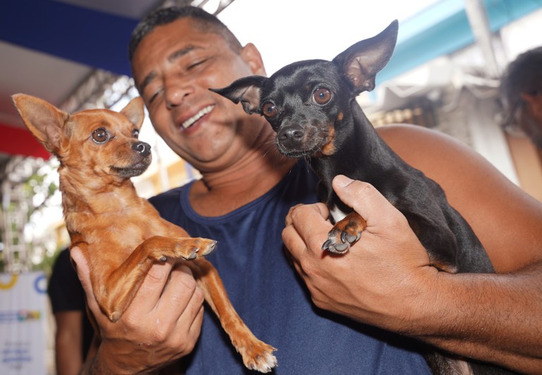 MMA oferece vacinação, microchipagem e registro de cães em bloco infantil — Agência Gov