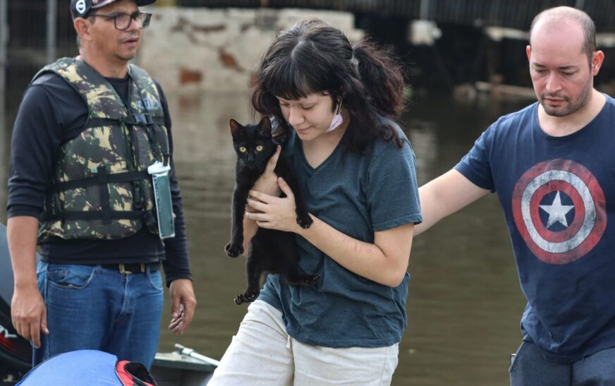 Senado aprova política de proteção a animais resgatados em desastres