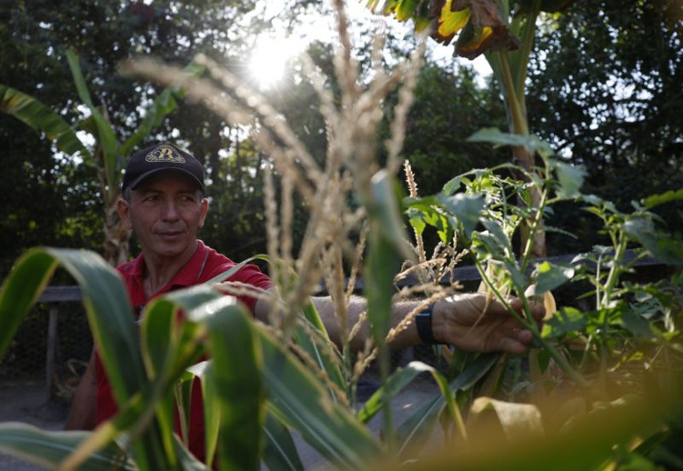 Fundo Amazônia destina R$ 53 milhões para regulação fundiária na Amazônia Legal — Agência Gov