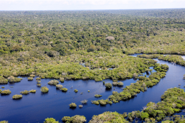 Governo do Brasil seleciona 11 projetos para restaurar quase 3 mil hectares na Amazônia Legal — Agência Gov