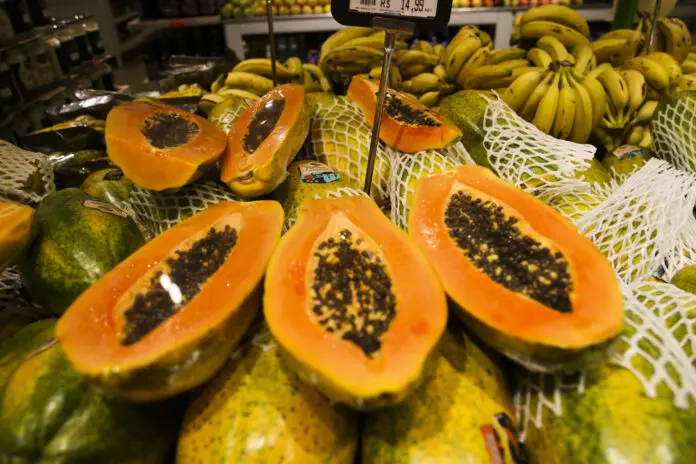 Preços das frutas mais vendidas têm queda nos mercados atacadistas, mostra Conab — Agência Gov