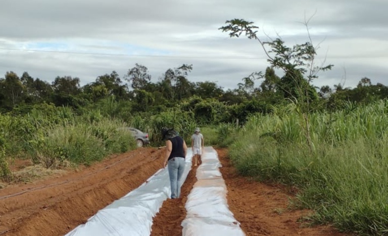 Fomento Mulher impulsiona agricultura familiar em São Paulo com R$ 1,3 milhão já liberados em 2026 — Agência Gov