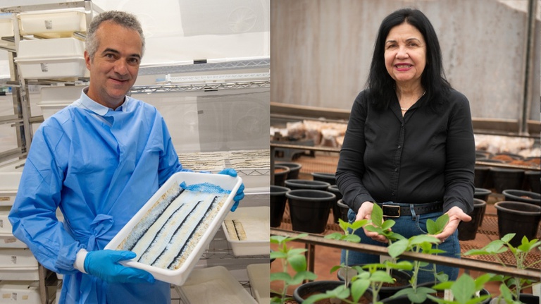 Inclusão dos pesquisadores brasileiros na lista das cem pessoas mais influentes reflete importância do investimento na ciência — Agência Gov