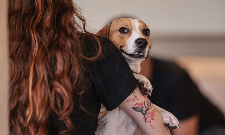 Lei que define normas para “guarda compartilhada” de pets é sancionada — Agência Gov