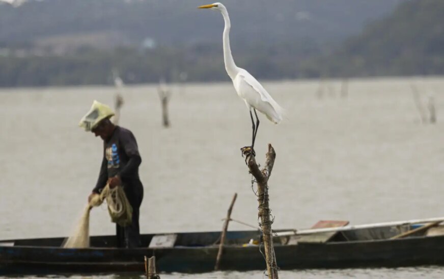 Mudanças aprovadas para o seguro-defeso previnem fraudes, diz relator