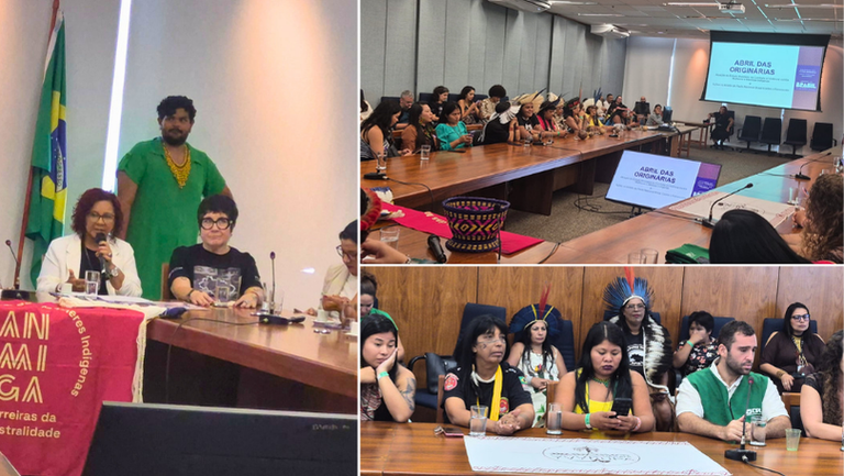 Política Nacional para Mulheres Indígenas avança para fase final — Agência Gov