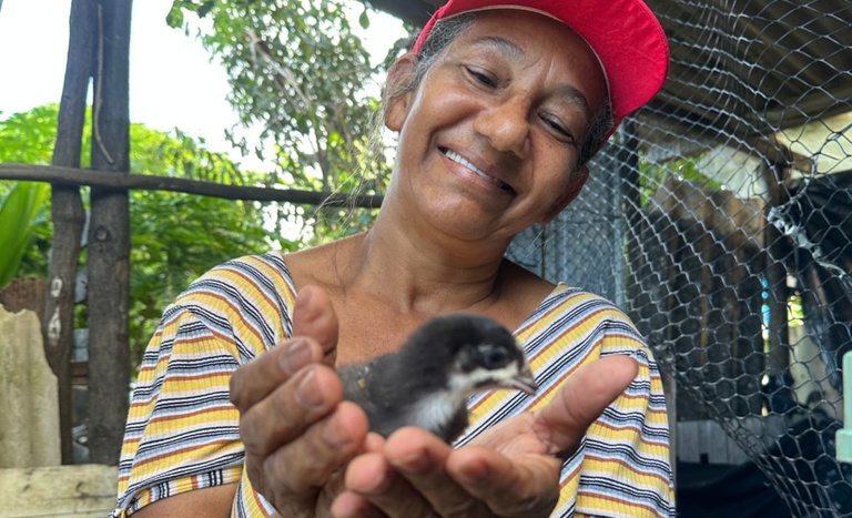 Projeto promove renda e resgate da Canela Preta, raça tradicional de galinhas em Sergipe — Agência Gov