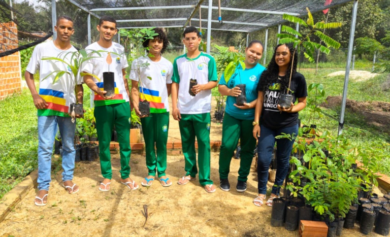 Assentamento no Piauí aposta em viveiro coletivo para gerar renda entre jovens — Agência Gov