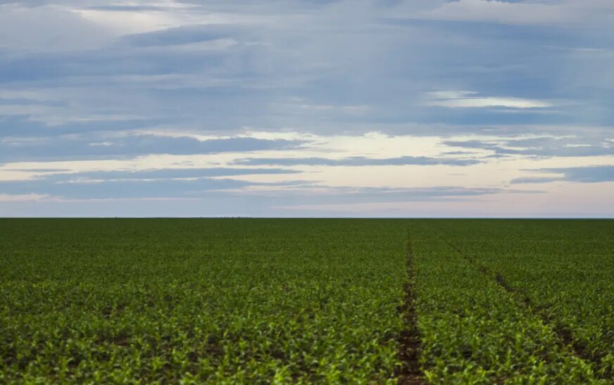 Fazenda estuda Fundo Garantidor para dívidas rurais