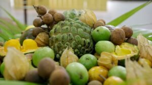 Governo do Brasil lança edital de R$ 50 milhões para fortalecer agricultores familiares — Agência Gov