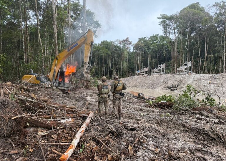 PF e ICMBio desarticulam garimpos ilegais de ouro no Amazonas — Agência Gov