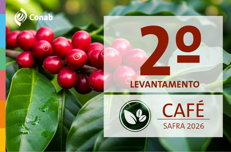 Produção de café deve ter alta de 18% e bater recorde na safra 2026 — Agência Gov