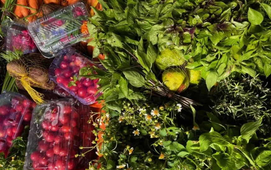 Salvador sedia pela primeira vez o Encontro de Pesquisas em Gastronomias do Brasil (ENPEGASTRO)