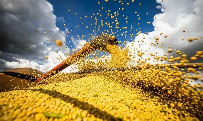 a nova fronteira econômica que reposiciona o agro brasileiro