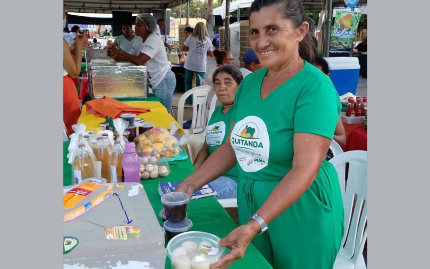Agricultores familiares aumentam renda em 30% com programa federal 