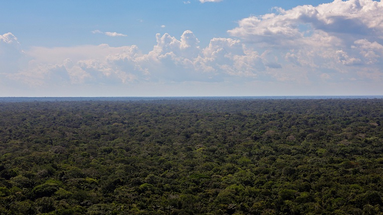 Em menos de um ano, programa PGU Verde já ajuizou R$ 1,3 bilhão em ações ambientais — Agência Gov
