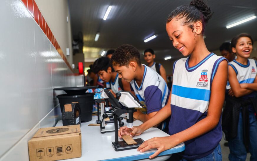 Escola Julieta Viana recebe ação em combate ao Aedes Aegypti – Imprensa Bahia