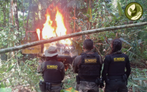 Força Nacional de Segurança é autorizada a apoiar o ICMBio em ações de proteção ambiental — Agência Gov
