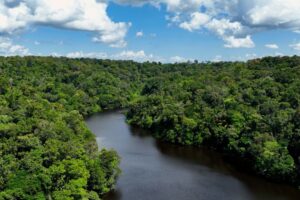 No Dia Mundial do Meio Ambiente, Governo do Brasil ressalta avanços conquistados pelo país desde 2023 — Agência Gov