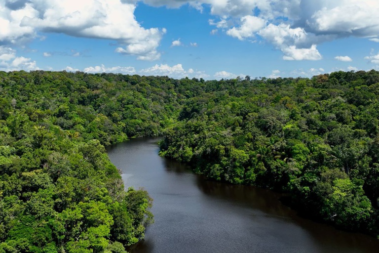 No Dia Mundial do Meio Ambiente, Governo do Brasil ressalta avanços conquistados pelo país desde 2023 — Agência Gov