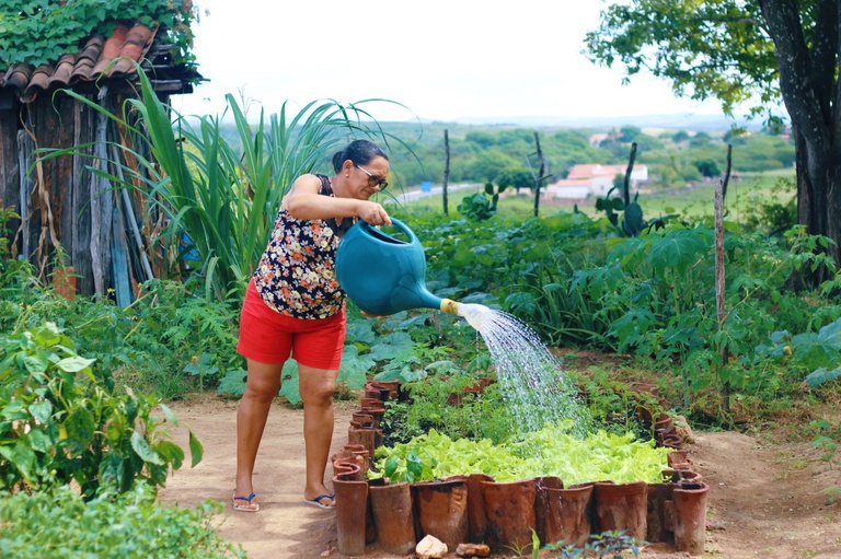 Programa de Aquisição de Alimentos completa 23 anos garantindo segurança alimentar e renda — Agência Gov