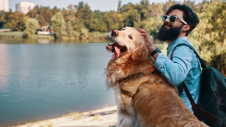 Turismo lança pesquisa para mapear mercado pet friendly e orientar setor e turistas — Agência Gov