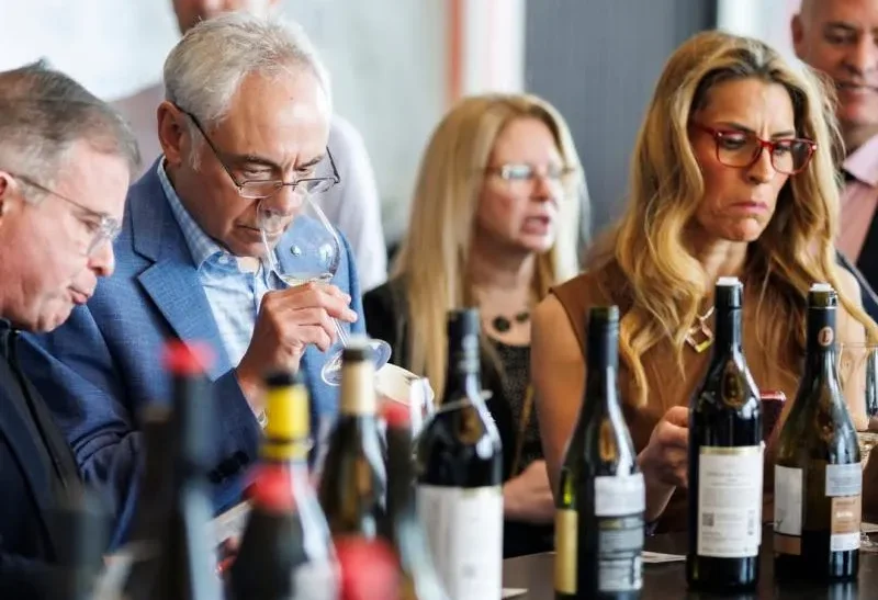 Vinhos brasileiros conquistam quatro medalhas de ouro em um dos maiores concursos do mundo