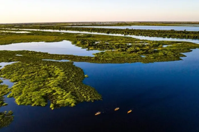 projetos no Senado reforçam agenda climática