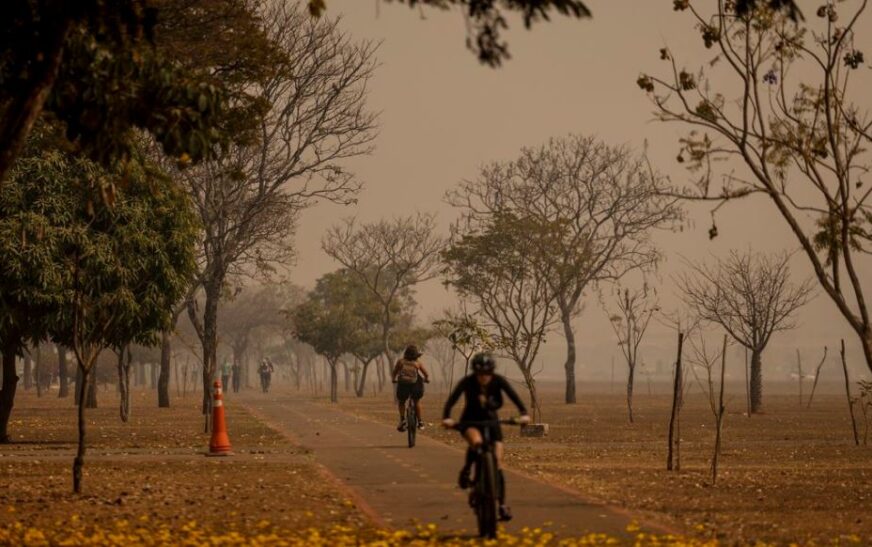 15 estados estão na lista de focos de calor e fumaça. Veja orientações para proteger a saúde — Agência Gov