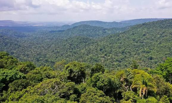 Amazônia Viva tem resultado final — Agência Gov
