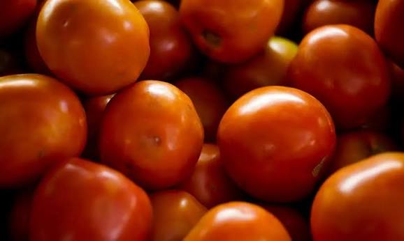 Preço do tomate negociado nas principais Ceasas brasileiras tem queda média de 15,85% — Agência Gov