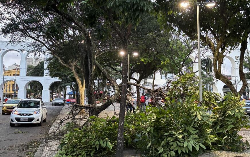 Vendaval ainda causa danos a moradores do Rio de Janeiro Vendaval ainda causa danos a moradores do Rio de Janeiro