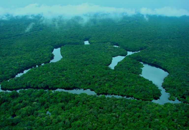 Brasil tem redução dos alertas de desmatamento na Amazônia e no Cerrado — Agência Gov