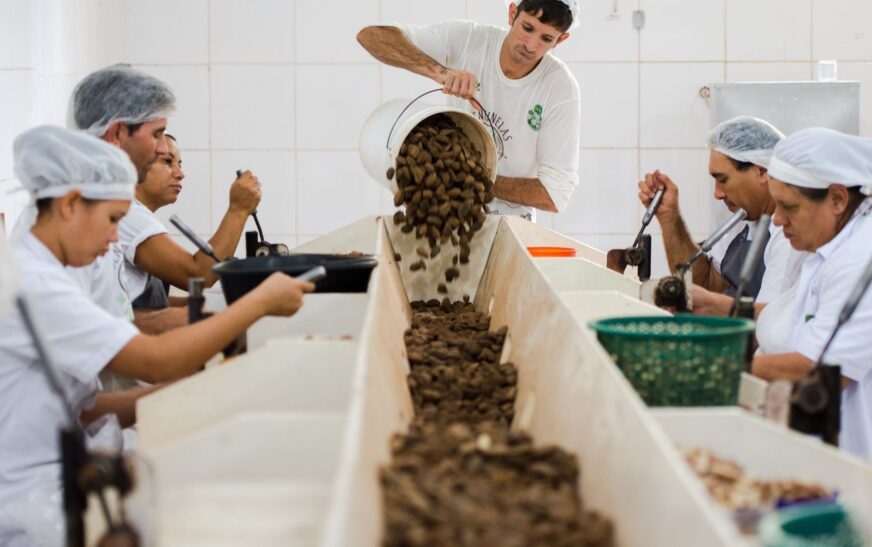 Consulta sobre bens sustentáveis no acordo Mercosul–UE acaba na quarta