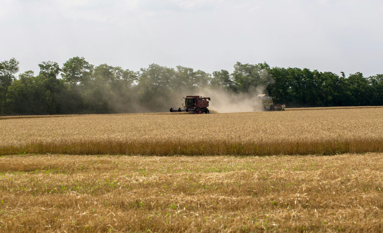 Crédito rural para a agricultura empresarial soma R$ 28,2 bilhões no primeiro mês da safra 2026/2027 — Agência Gov