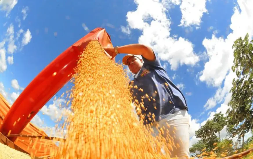 Criadores terão acesso a novos produtos para ração animal pelo Programa de Venda em Balcão — Agência Gov