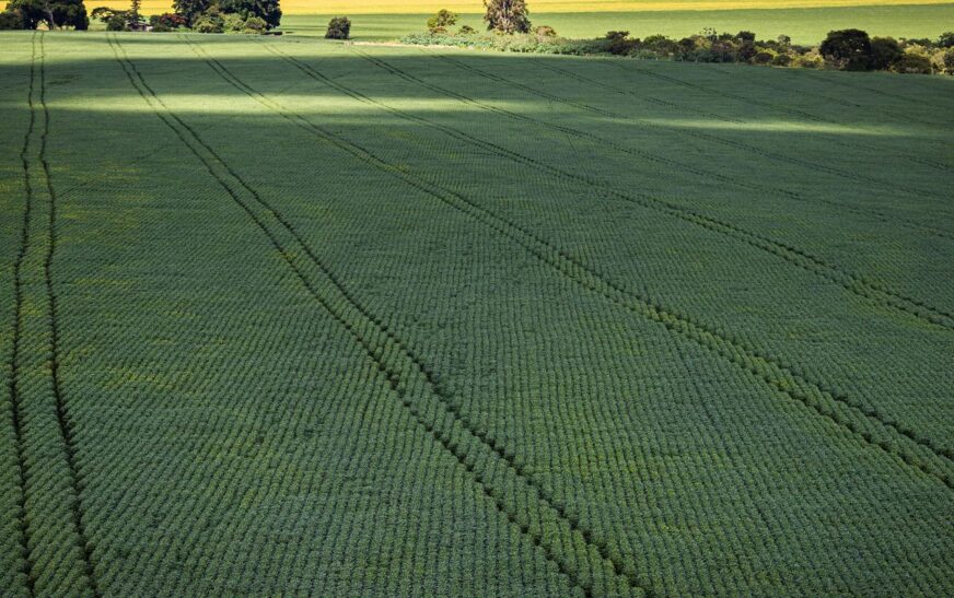 Senado aprova plano para fabricação de fertilizantes no Brasil