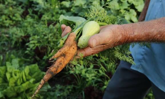 GT vai elaborar proposta do programa de valorização de sistemas agrícolas tradicionais — Agência Gov