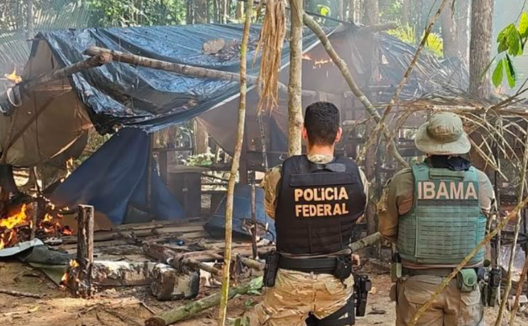 PF e Ibama combatem garimpo ilegal em terra indígena — Agência Gov
