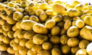 Preço da batata negociada nas principais Ceasas tem queda média de 37,33% — Agência Gov