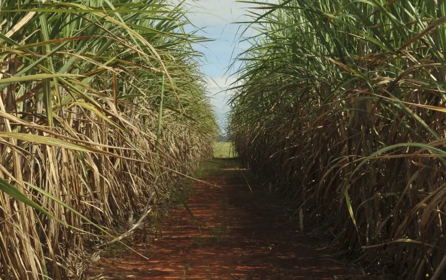 Conselho eleva limite de remuneração do Eco Invest Brasil