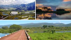 Turismo no Pantanal combina natureza, cultura e experiências no Mato Grosso e no Mato Grosso do Sul — Agência Gov