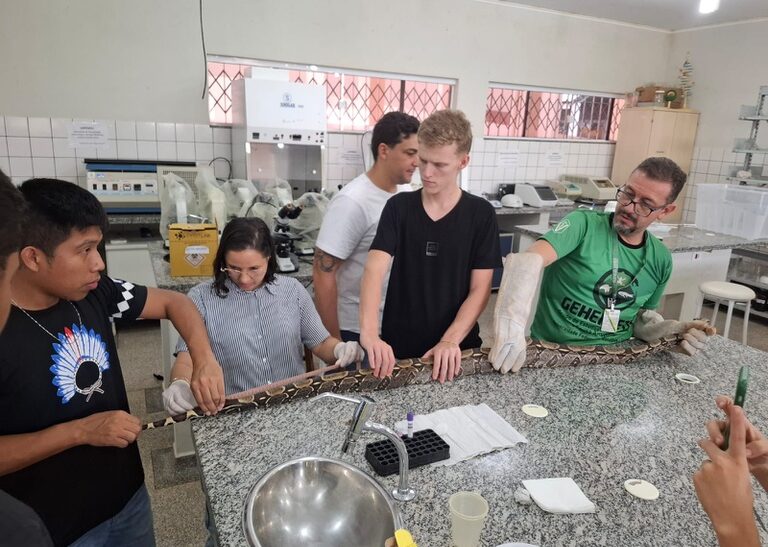 Universidade Federal de Rondônia oferece atendimento veterinário gratuito — Agência Gov