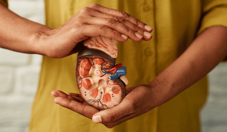 como identificar sinais de alerta e prevenir complicações renais — Agência Gov