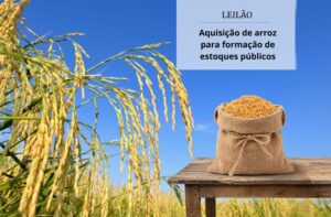 Conab realiza primeiro leilão de compra de arroz para formar estoques públicos — Agência Gov