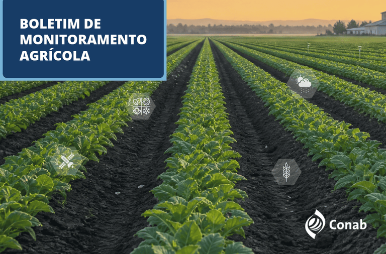 Em diversas frentes, safra 2026/2027 começa a avançar com apoio das chuvas — Agência Gov