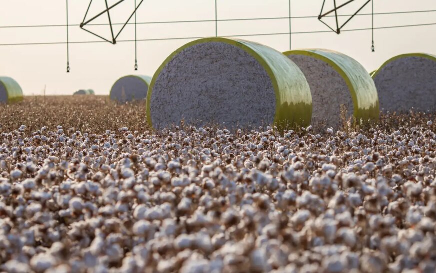 Entenda mudança no mapa que tirou Sorriso do topo da produção agrícola