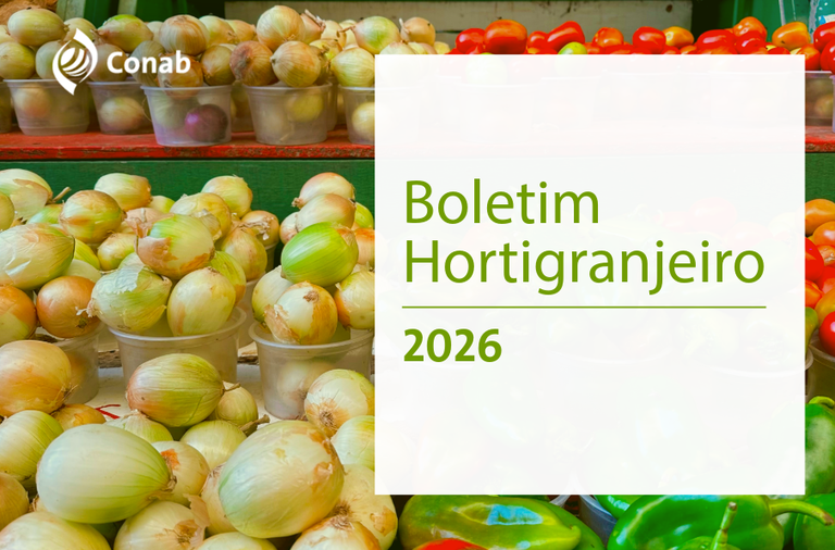 Preços de alface, cebola, batata, mamão, melancia e laranja caem nos Ceasas — Agência Gov