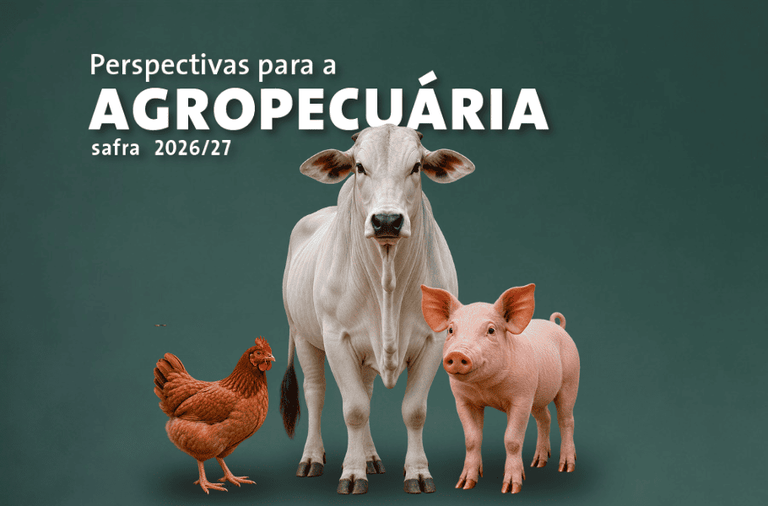 Produção brasileira de carnes deve ultrapassar 34 milhões de toneladas em 2026 e 2027 — Agência Gov